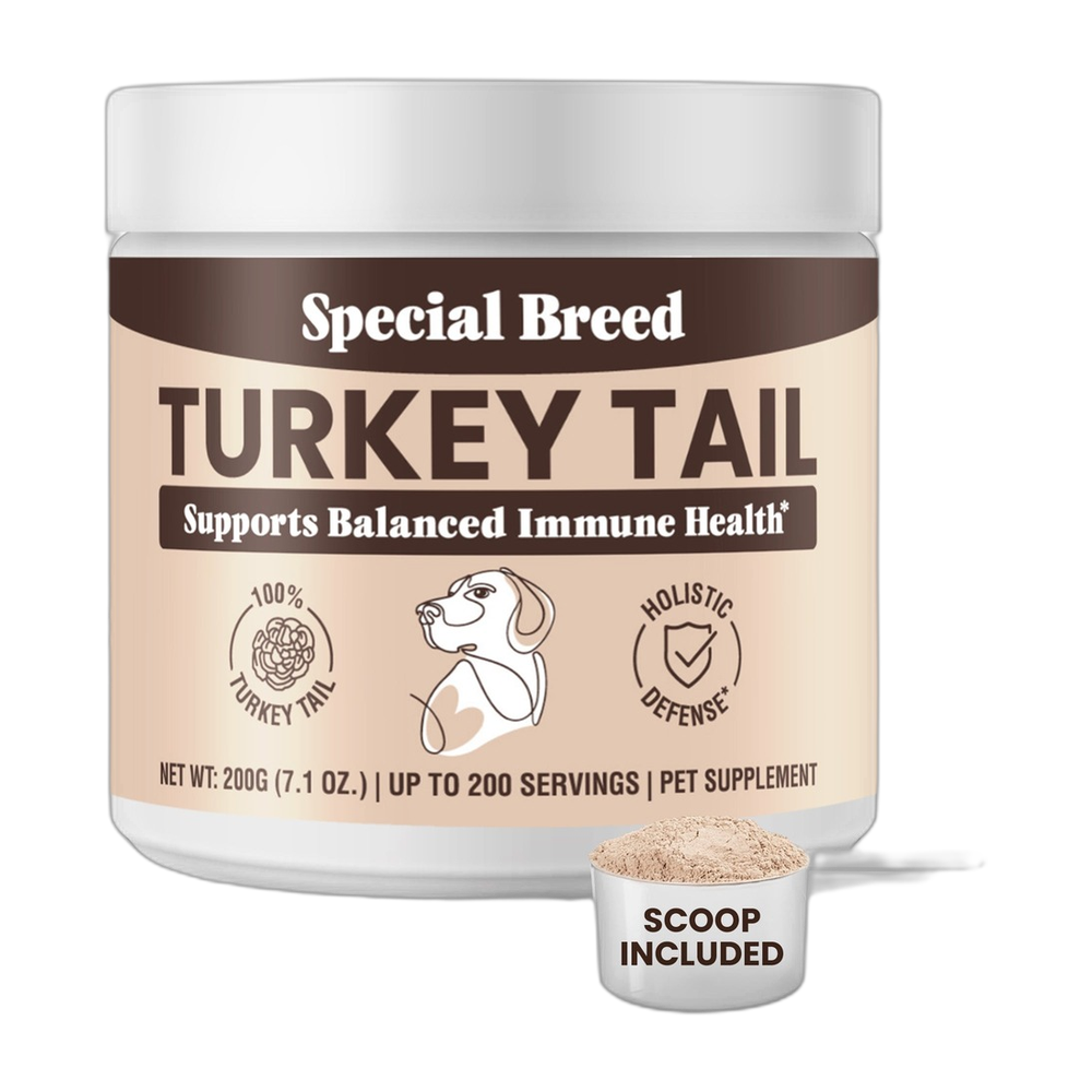 Special Breed Turkey Tail Mushroom